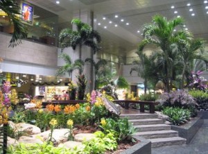changi-2